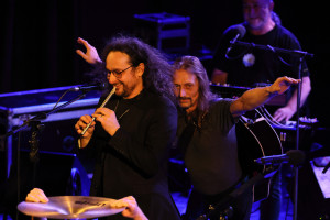 muzikanti 