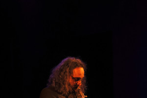 muzikant