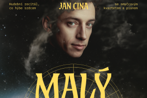 Malý princ