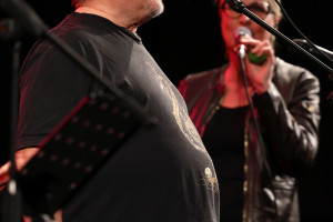 Jaroslav Samson Lenk a Vabivod