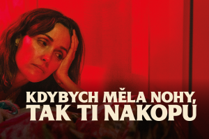 stripe Kdybych měla nohy, tak ti nakopu a24 