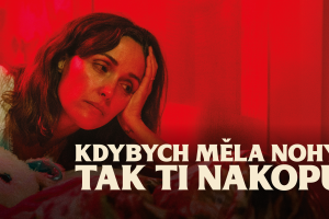 stripe Kdybych měla nohy, tak ti nakopu a24 