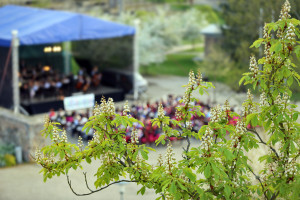 Západočeský symfonický orchestr Mariánské Lázně