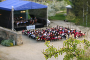 Západočeský symfonický orchestr Mariánské Lázně