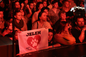 Jelen - Vlčí srdce tour 3. 11. 2016
