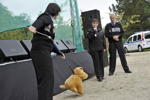 Fotogalerie / Den s Městskou policií Cheb 1. 9. 2012