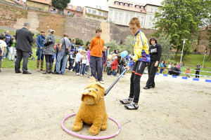 Fotogalerie / Den s Městskou policií Cheb 1. 9. 2012