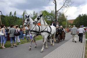 Fotogalerie / 20. - 22. 5. 2011 - Historické slavnosti