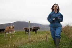 Daleko od Reykjavíku - kino Art