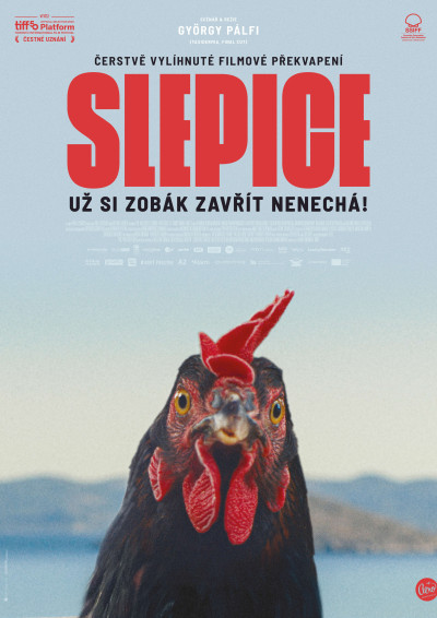 slepice_plakát