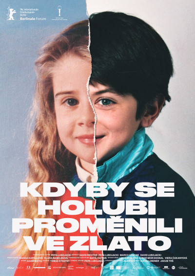 Kdyby se holubi proměnili ve zlato plakat